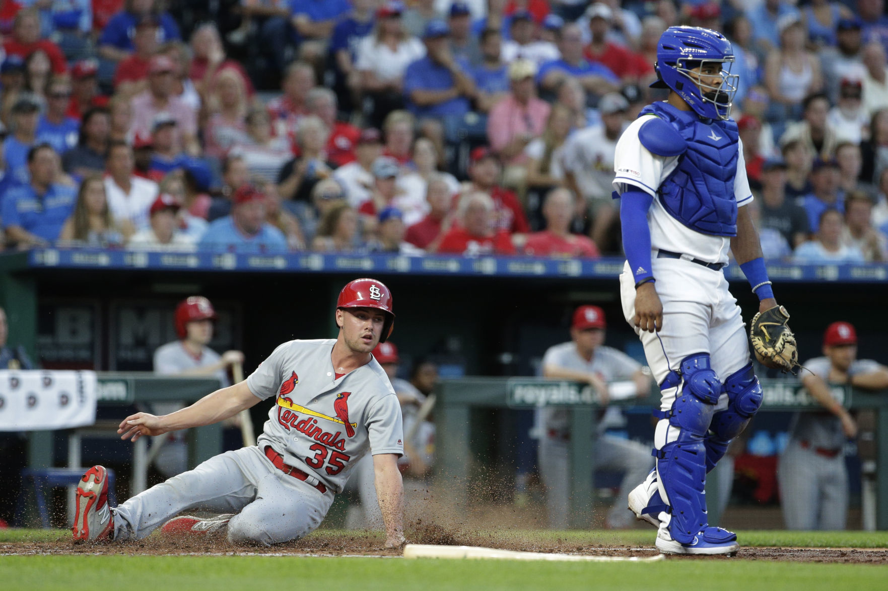 Cardinals Royals Baseball